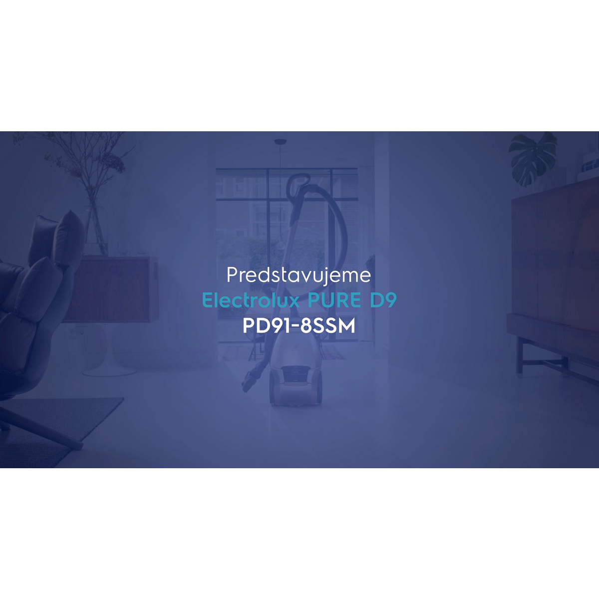 Electrolux - Vreckový vysávač - PD91-8SSM