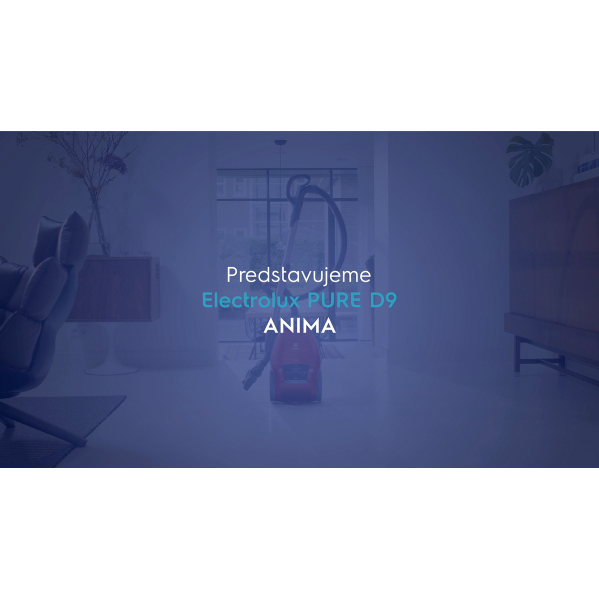 Electrolux - Vreckový vysávač - PD91-ANIMA